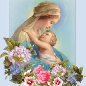 Meet your Posher, Kieu